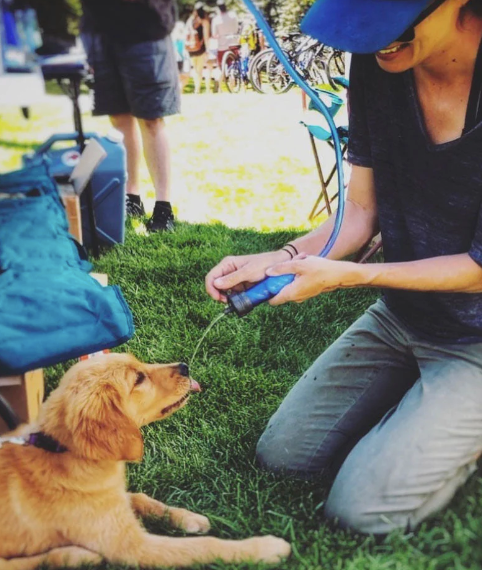 LifeStraw Flex Multi-use Water Filter with Gravity Bag 3.7L image 1